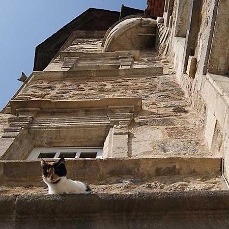 Maison au Loup - Superbe ancien hotel particulier du XVIe siècle au cœur de la vieille ville du Puy Le Puy-en-Velay Esterno foto